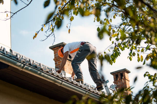 Best Flat Roof Repair Services  in Plainfield, IL